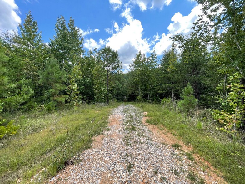 More Photos Of 23034 Highway 25, Columbiana Land For Sale