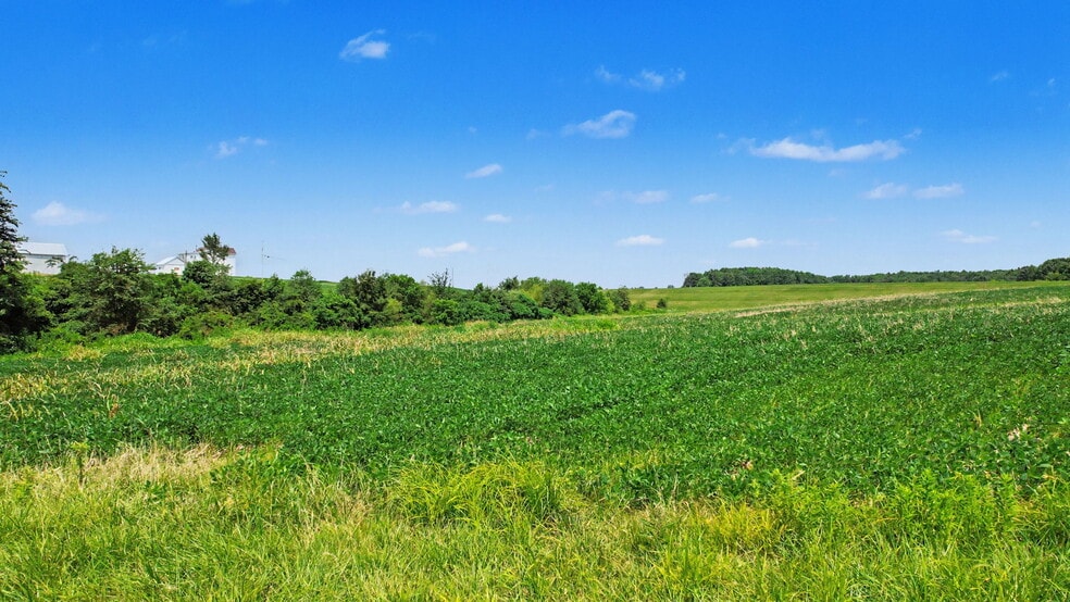 More Photos Of 0 Coffman Rd, Borden Land For Sale