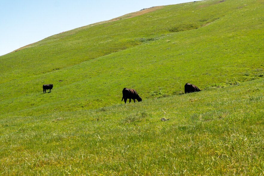 More Photos Of , Morro Bay Land For Sale