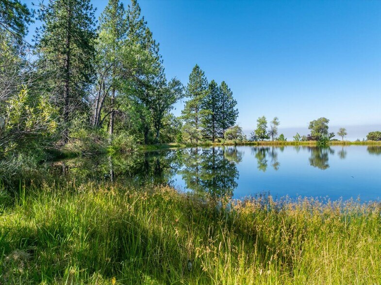 More Photos Of 31630 Forwards Rd, Manton Land For Sale