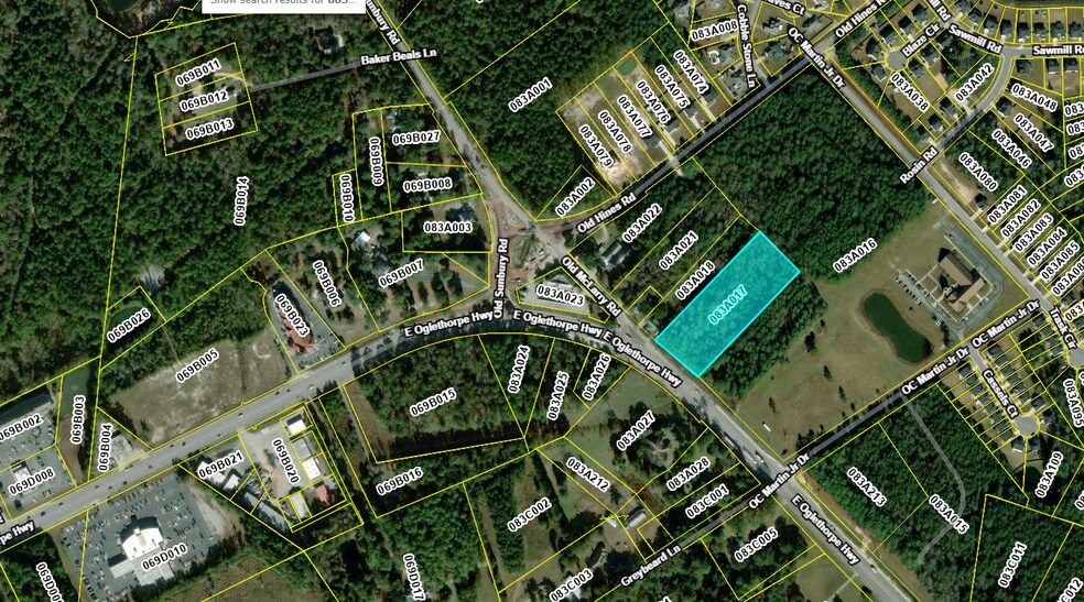 More Photos Of East Oglethorpe Highway, Flemington Land For Sale
