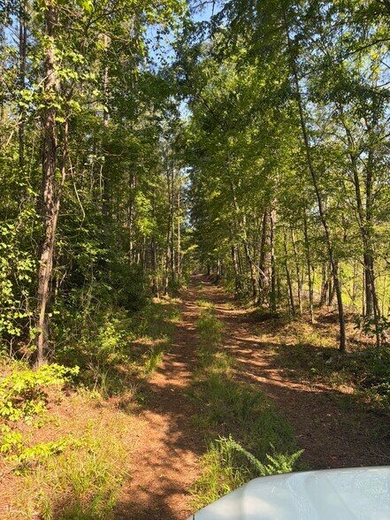More Photos Of 00 Everett Chappell Rd, Mount Gilead Land For Sale