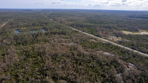 More Photos Of US Hwy 27 hwy, Perry Land For Sale