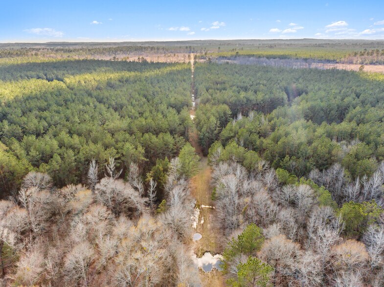 More Photos Of 7471 Hwy 155, Saline Land For Sale