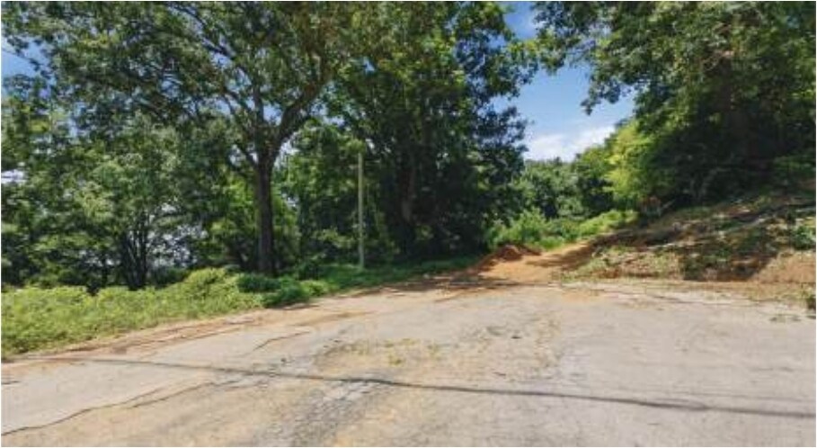 More Photos Of 0 16th Ave, Chattanooga Land For Sale
