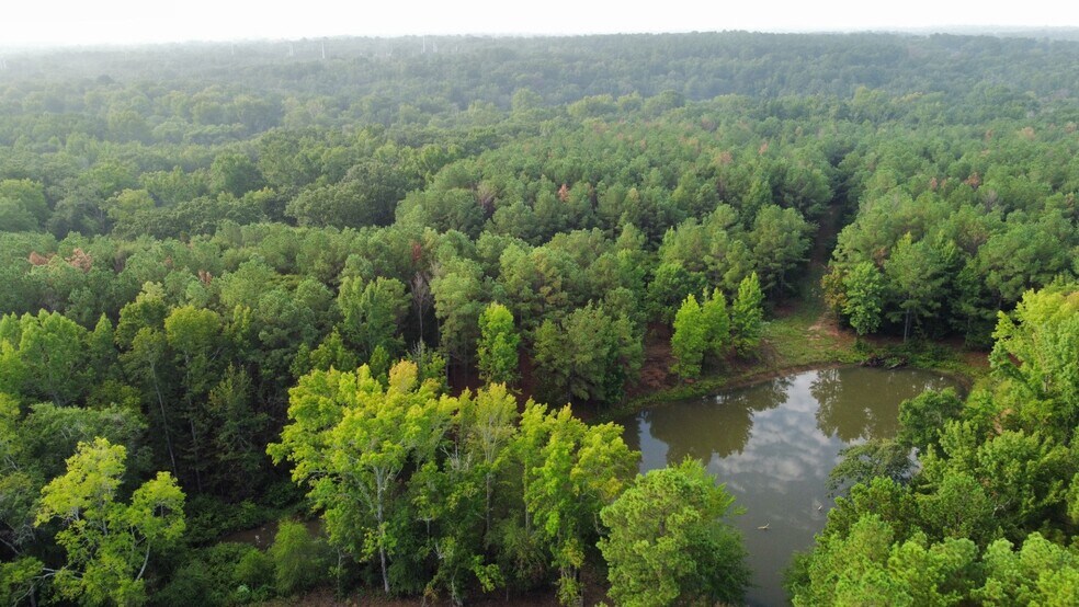 More Photos Of 7469 HIGHWAY 69, Tyler Land For Sale