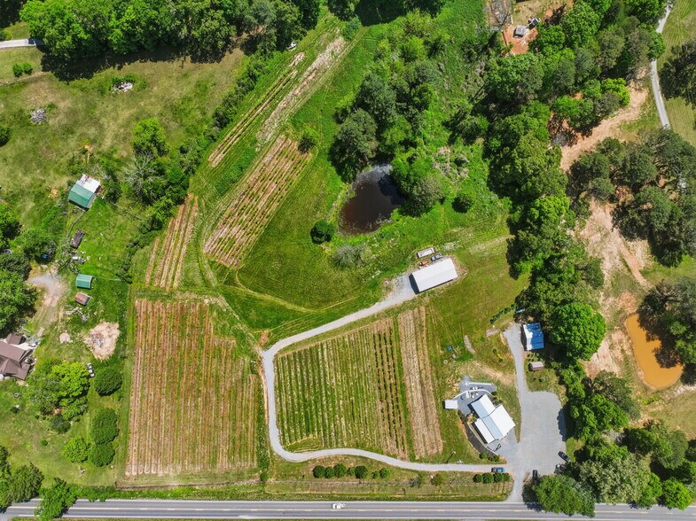 More Photos Of 2317 GA-382, Ellijay Winery Vineyard For Sale
