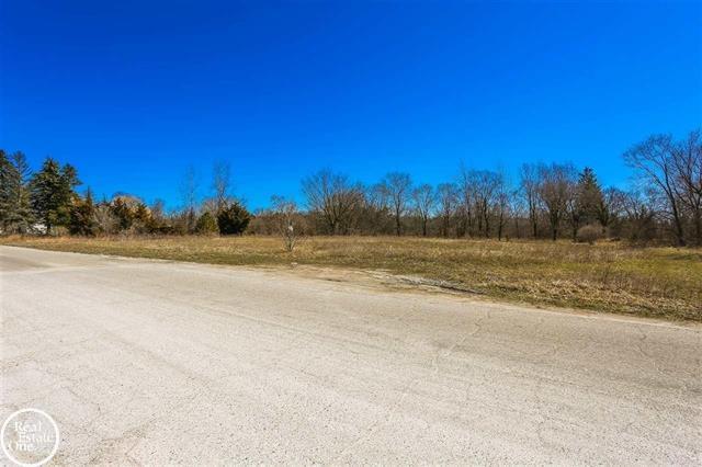 Primary Photo Of Meadowlawn Dr, Fort Gratiot Township Land For Sale