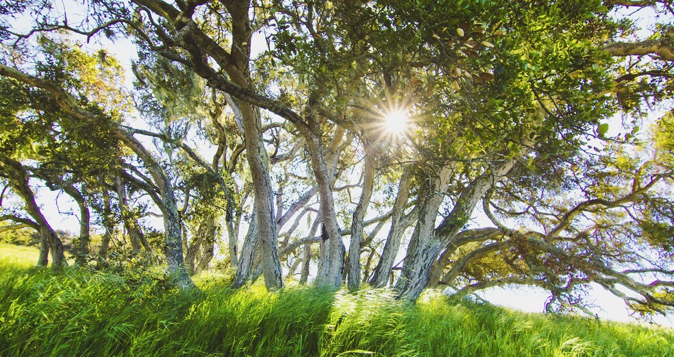 More Photos Of Price Canyon Rd, San Luis Obispo Land For Sale