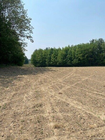 More Photos Of 7451 Fostoria rd, Mayville Land For Sale