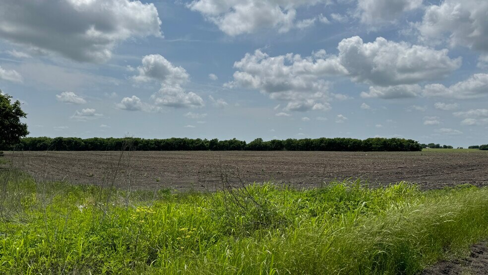 More Photos Of 9024 FM 64, Pecan Gap Land For Sale