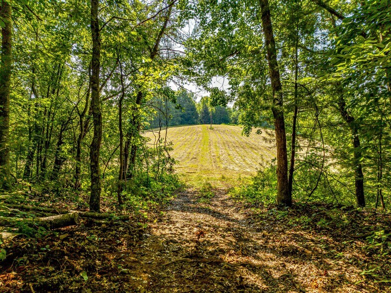 More Photos Of 703 Crestview Dr, Leicester Land For Sale