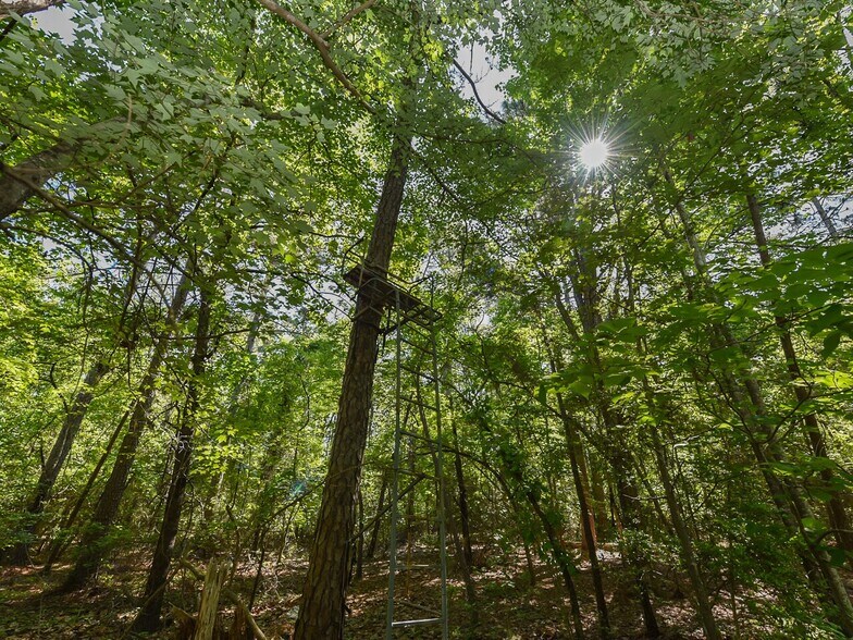 More Photos Of 224 Foxfire Rd, Aberdeen Land For Sale