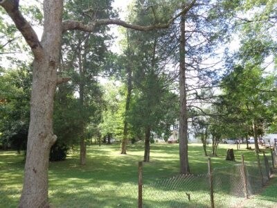 More Photos Of 523 Main St, Pineville Land For Lease