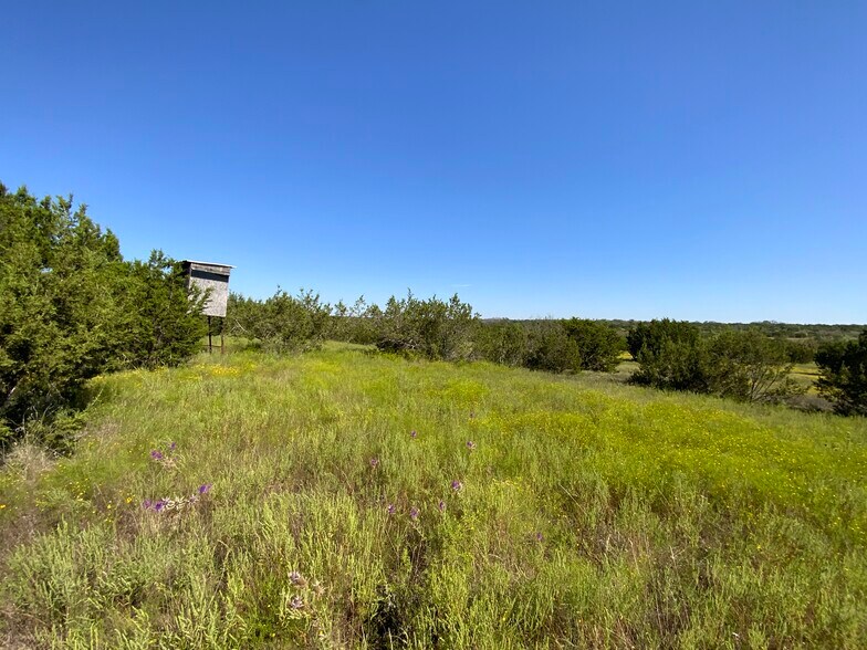 More Photos Of TBD County Road 396, Carlton Land For Sale