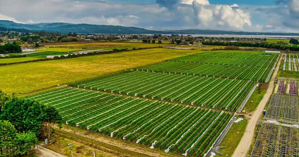 More Photos Of 3160 Upper Bay Rd, Arcata Land For Lease