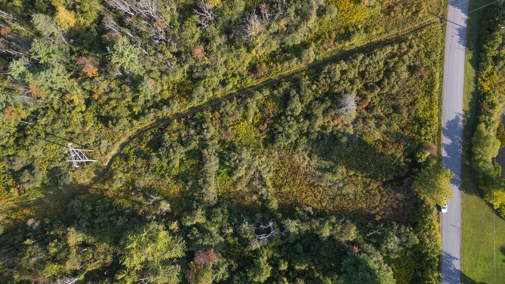 More Photos Of 219 Mudge rd, Delanson Land For Sale