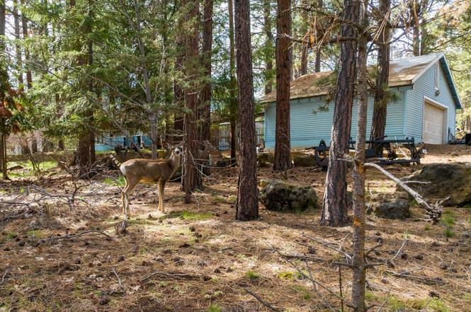 More Photos Of 19077 Choctaw Rd, Bend Land For Sale