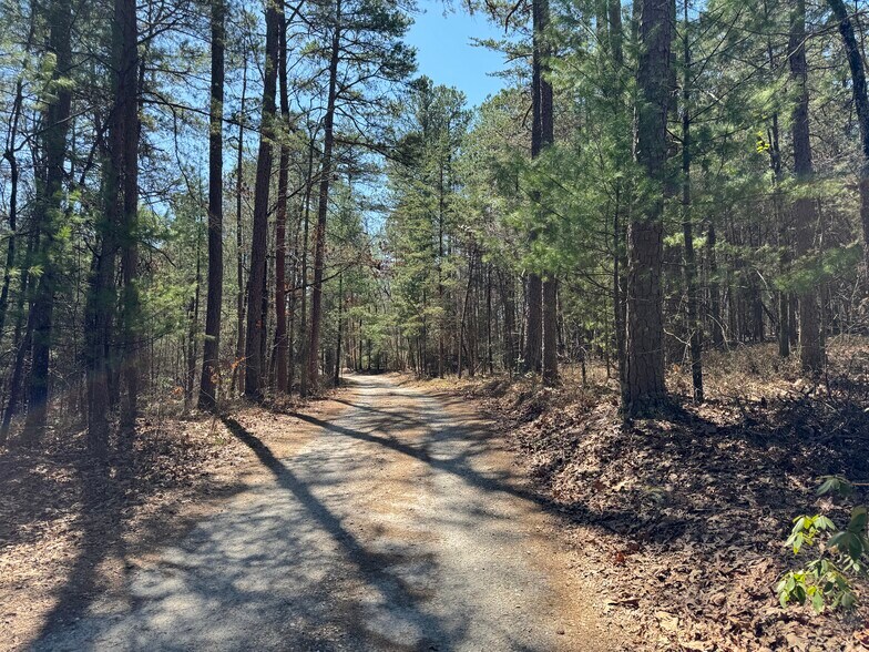 More Photos Of Tugalo Short Cut (110 Trembling Woods Ln), Clarkesville Land For Sale