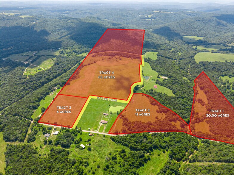 Primary Photo Of County Road 211, Eureka Springs Land For Sale
