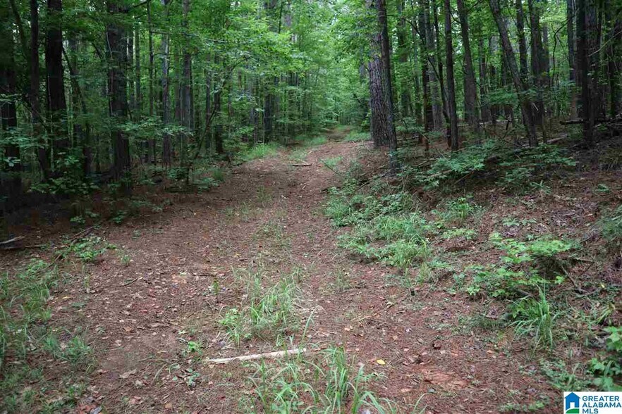 More Photos Of 0 County Rd 61, Fruithurst Land For Sale