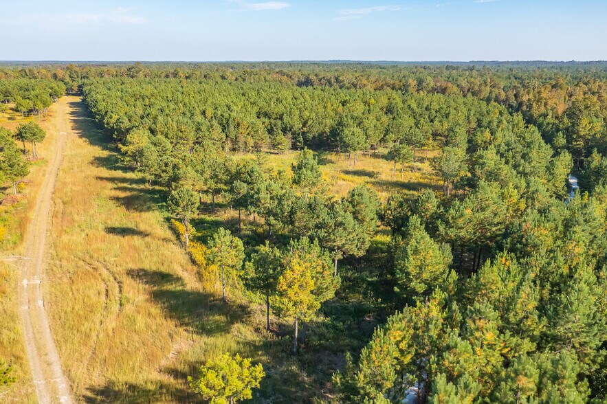 More Photos Of 18618 Hwy 43, Linden Land For Sale