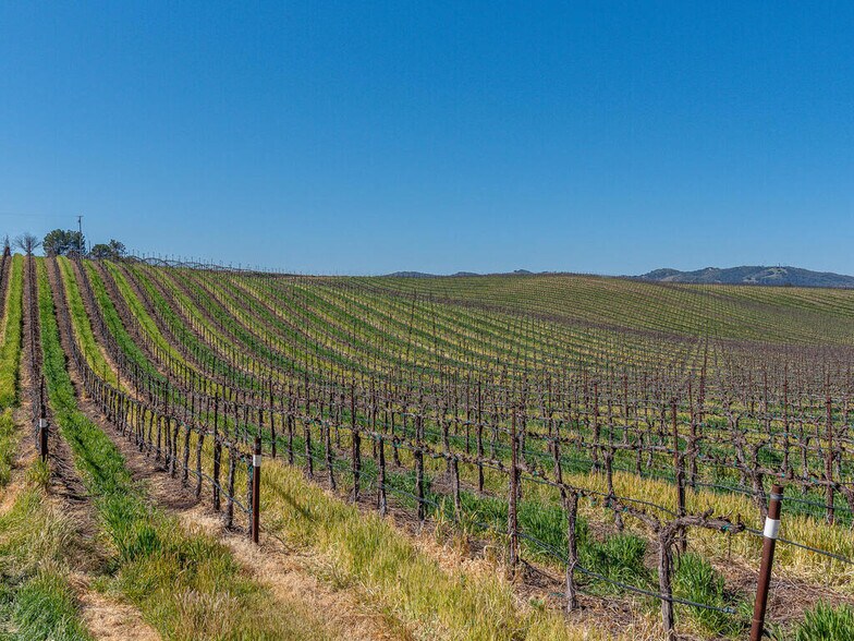More Photos Of 3925 Buena Vista, Paso Robles Land For Sale