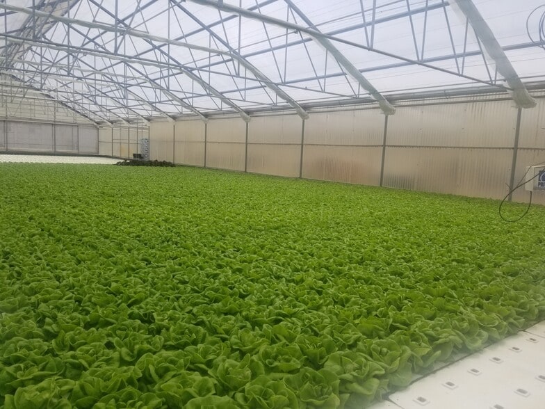 More Photos Of 4525 Cloverdale Rd, Pescadero Land For Sale