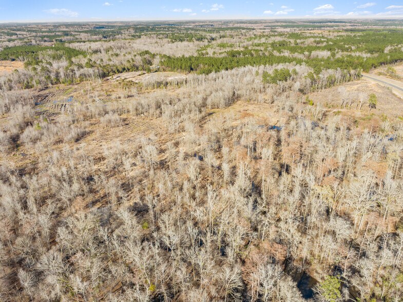 More Photos Of 7471 Hwy 155, Saline Land For Sale