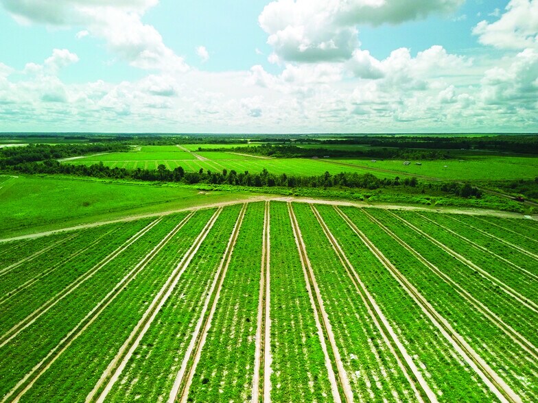 More Photos Of 40105 Ballard Rd, Myakka City Land For Lease