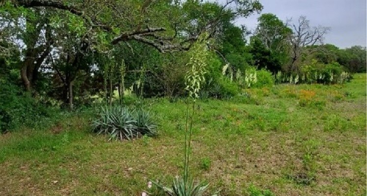 More Photos Of 6514 W US Highway 190, Belton Land For Sale