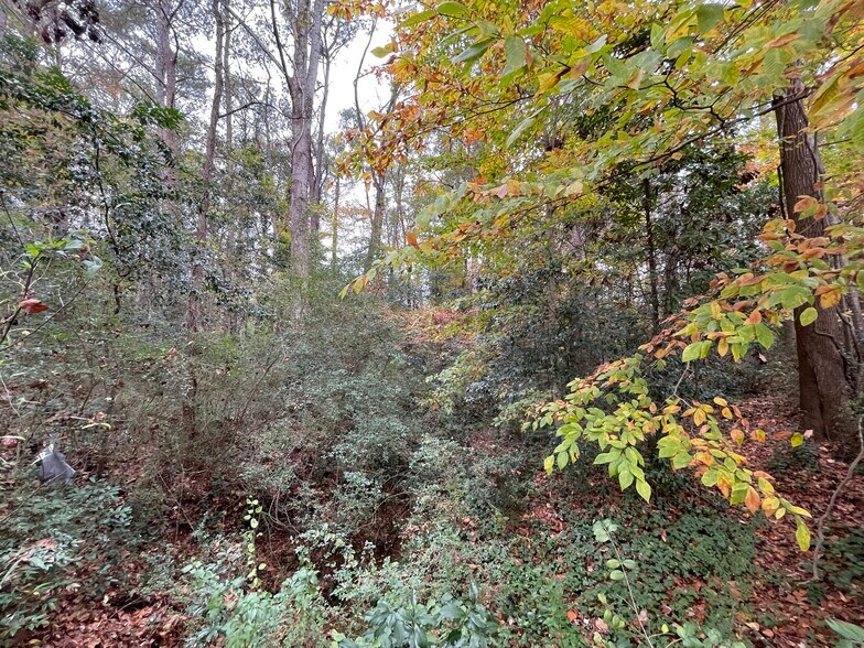 More Photos Of 4446 Glenwood Rd, Decatur Land For Sale