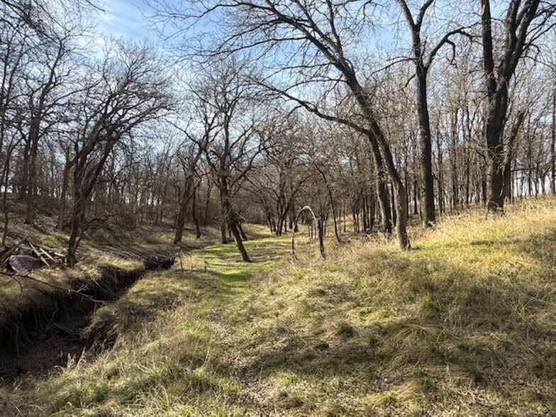 More Photos Of 363 County Road 4403, Grandview Land For Sale