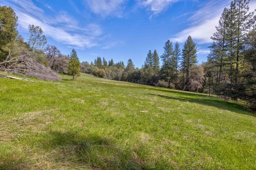 More Photos Of 18800 Charleston Rd, Volcano Land For Sale
