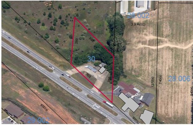 Primary Photo Of S Highway 231 & Mance Newton Rd, Midland City Land For Sale