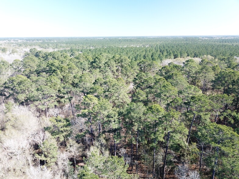 More Photos Of Corrigan Road, Vidor Land For Sale