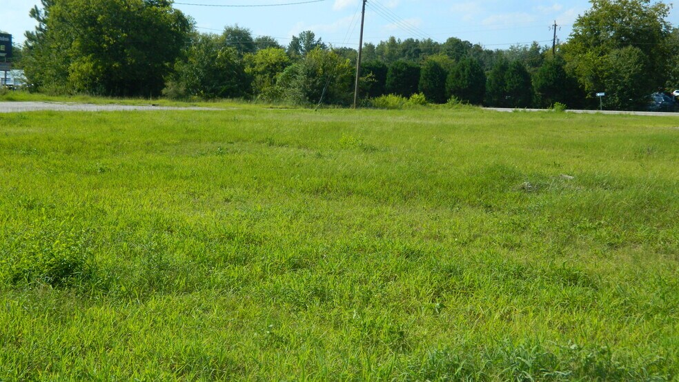More Photos Of 4603 W Highway 76, Marion Land For Sale