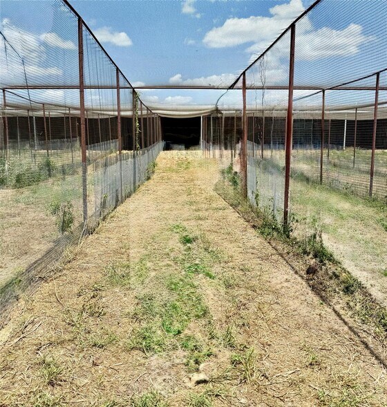 More Photos Of 1500 Lumkins rd, Forreston Land For Sale