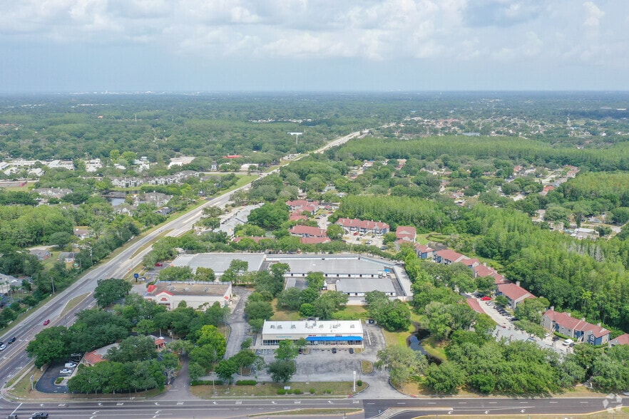 More Photos Of 12041-12059 Anderson Rd, Tampa Storefront For Lease