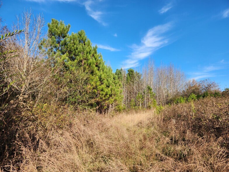 More Photos Of 1310 Mayflower Rd, Sale Creek Land For Sale