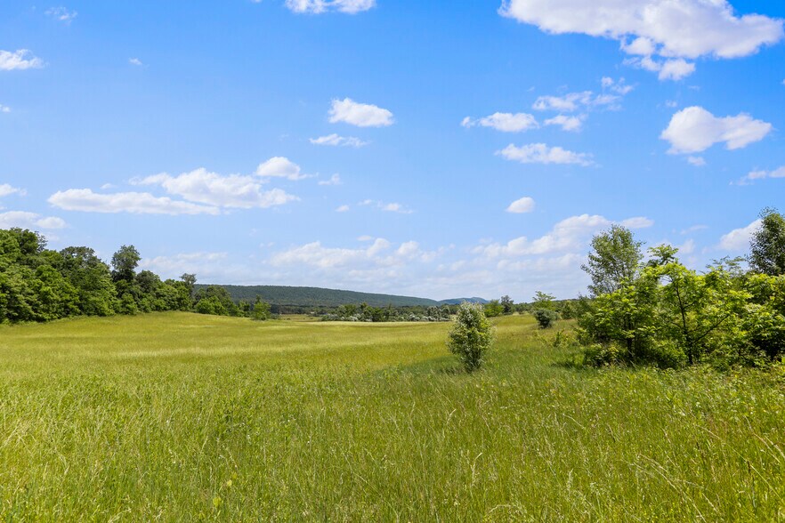 More Photos Of 3648 Dominion Rd, Gerrardstown Land For Sale