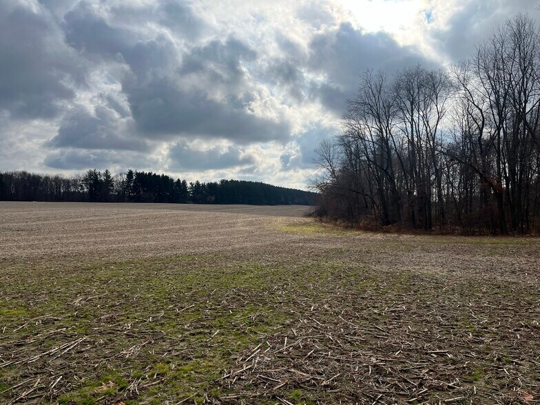More Photos Of 0 V/L Green St., Springport Land For Sale