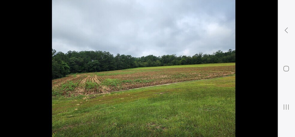 More Photos Of 2641 NC-71, Maxton Land For Sale