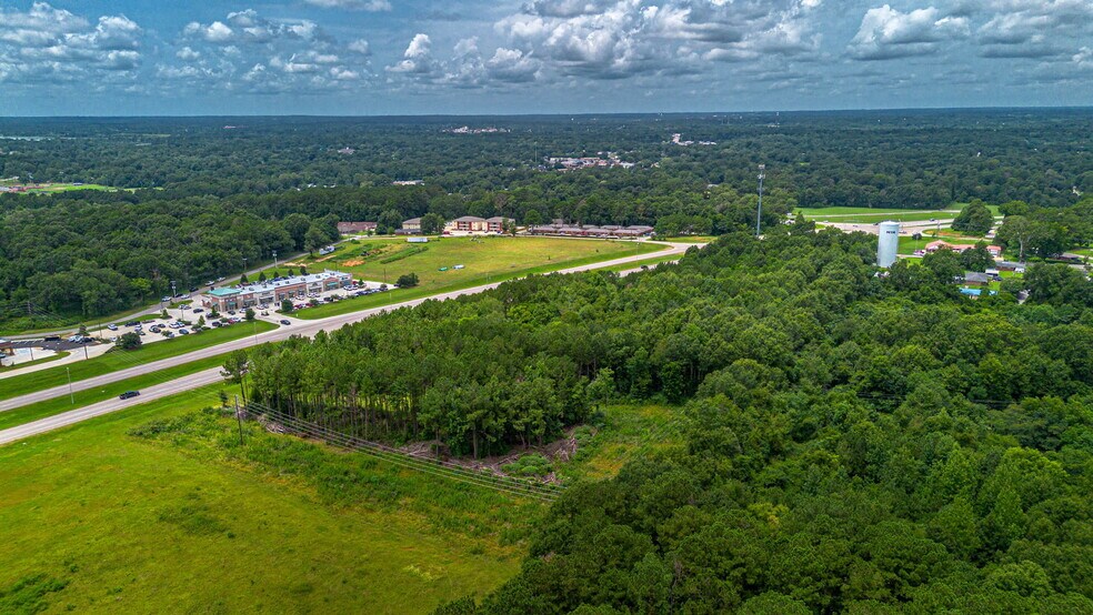 More Photos Of 1115 Evelyn Gandy Pky, Petal Land For Sale