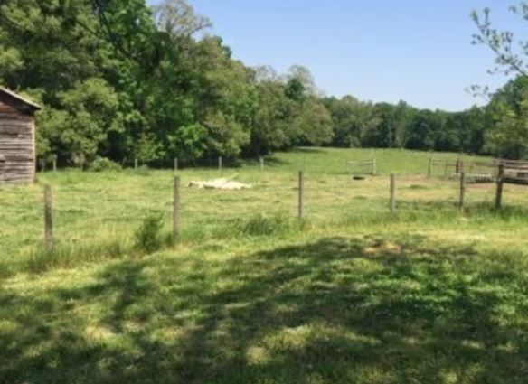 More Photos Of 0 Highway 29, Canon Land For Sale