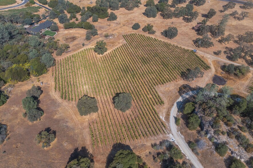 More Photos Of 4280 Red Hill Rd, Vallecito Winery Vineyard For Sale