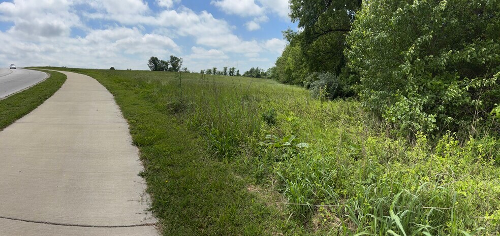 More Photos Of 801 Fremont Road, Ozark Land For Sale