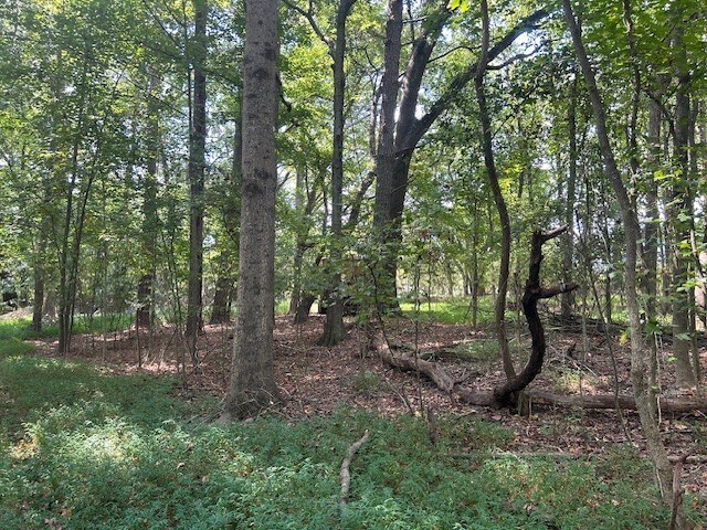 More Photos Of 4349 Abbotts Bridge Rd, Duluth Land For Sale