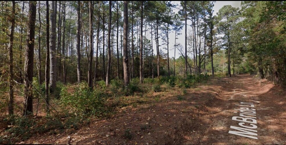 More Photos Of 150 McBride trl, Coldspring Land For Sale