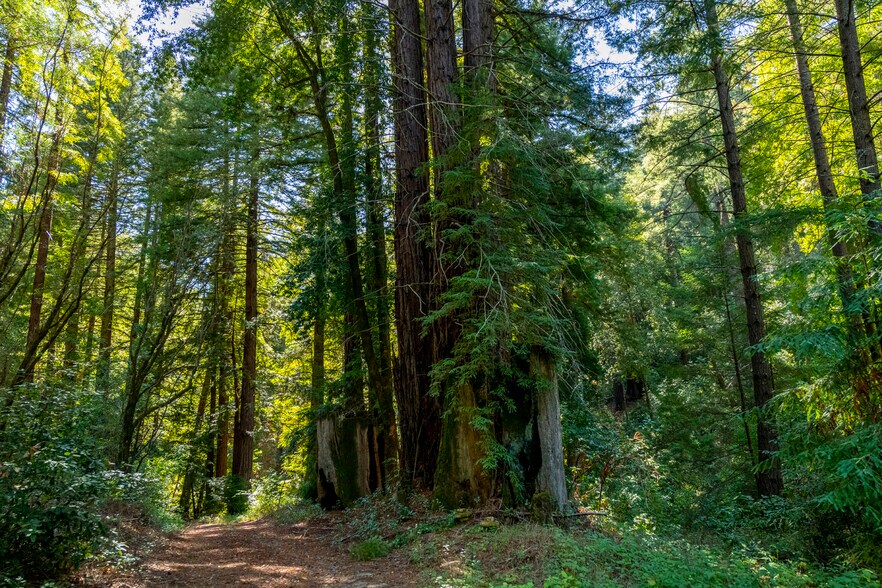 More Photos Of 2372 McKenzie Creek rd, Scotts Valley Land For Sale